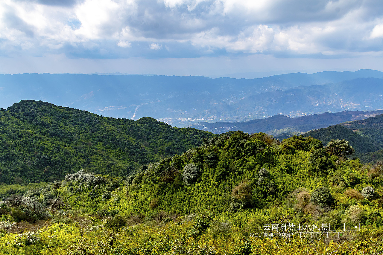 云南省临沧市凤庆县大河龙潭山姚青春自然风光山水风景游记36