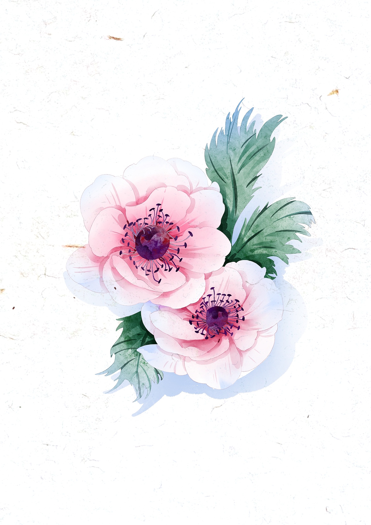 水彩花卉合集（图ZMzgwODI5MDc2） - 创作习作 - 站酷设计师一把蒜原创素材 - 站酷ZCOOL