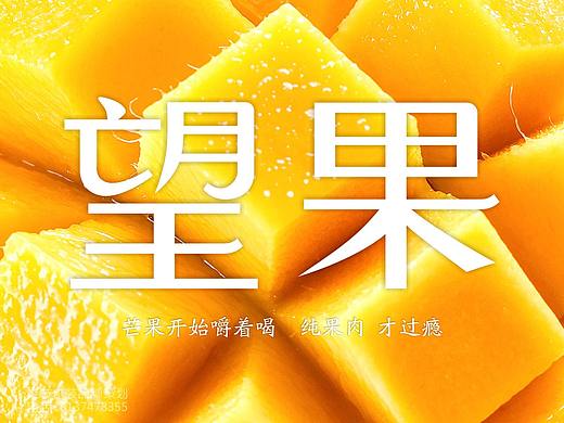 桐珍 · 三九企业集团 芒果汁饮料包装设计品牌形象设计