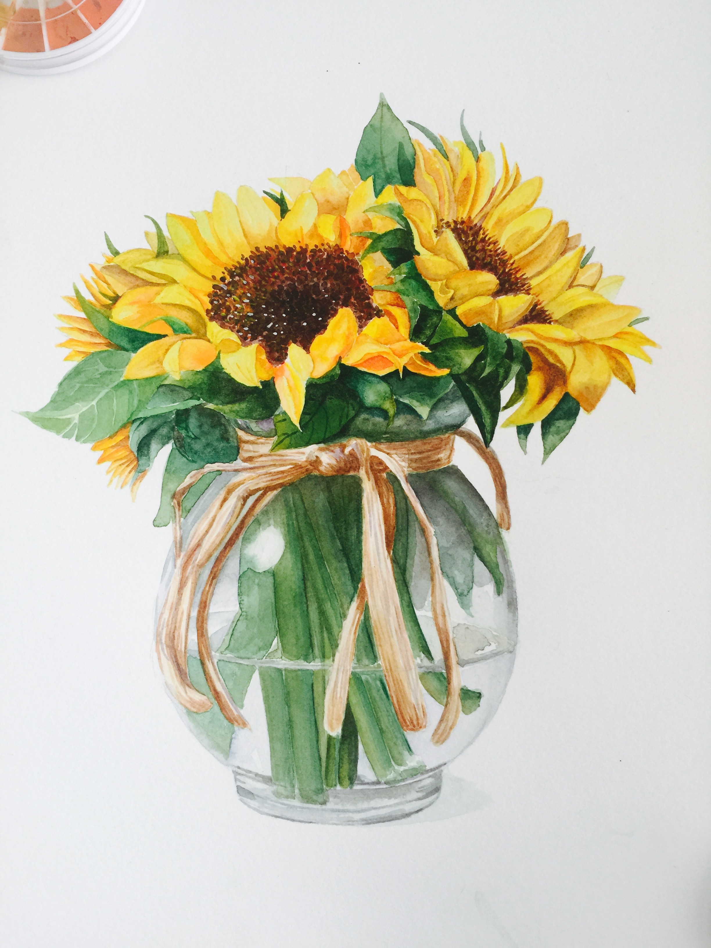 水彩 花卉 手绘 原创作品 大家多多指点