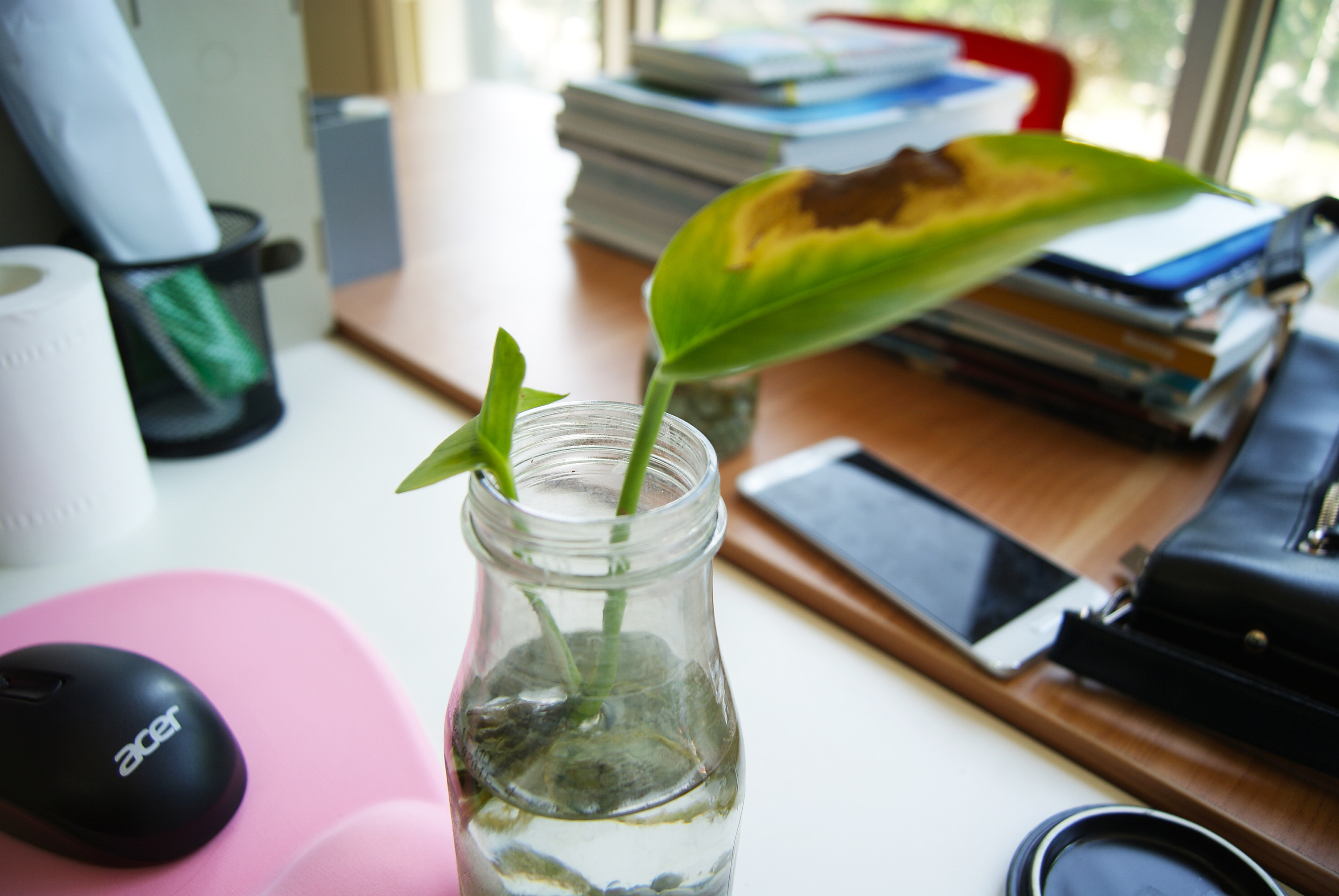 摄影-办公室一角