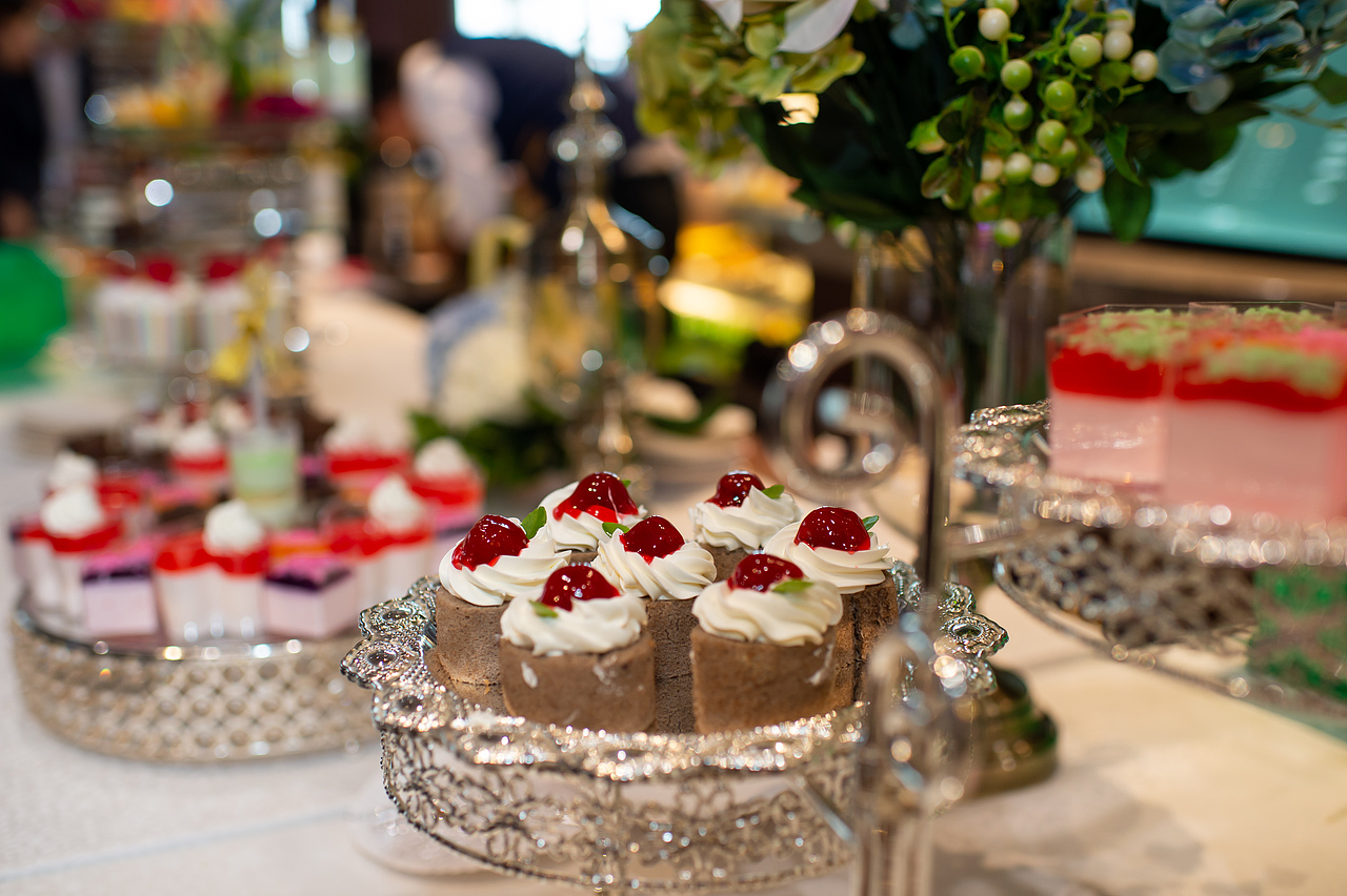 万科新都会景观示范区开放