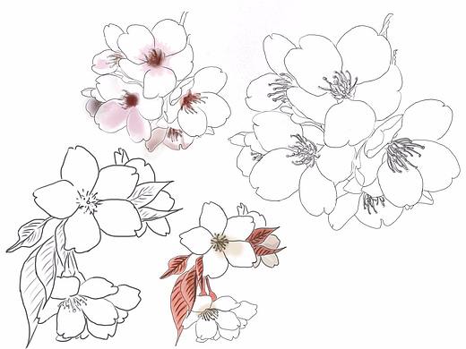 花（個(gè)人主頁-ZMjUxNjc2ODg=） - 其他UI - 站酷設(shè)計(jì)師heartym原創(chuàng)素材 - 站酷ZCOOL