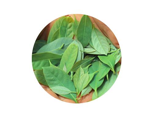 产品详情页长图设计