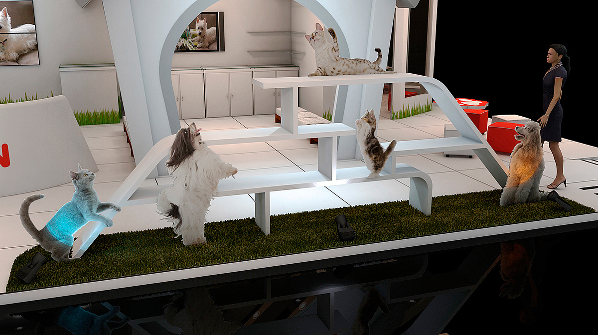 宠物展会设计效果图