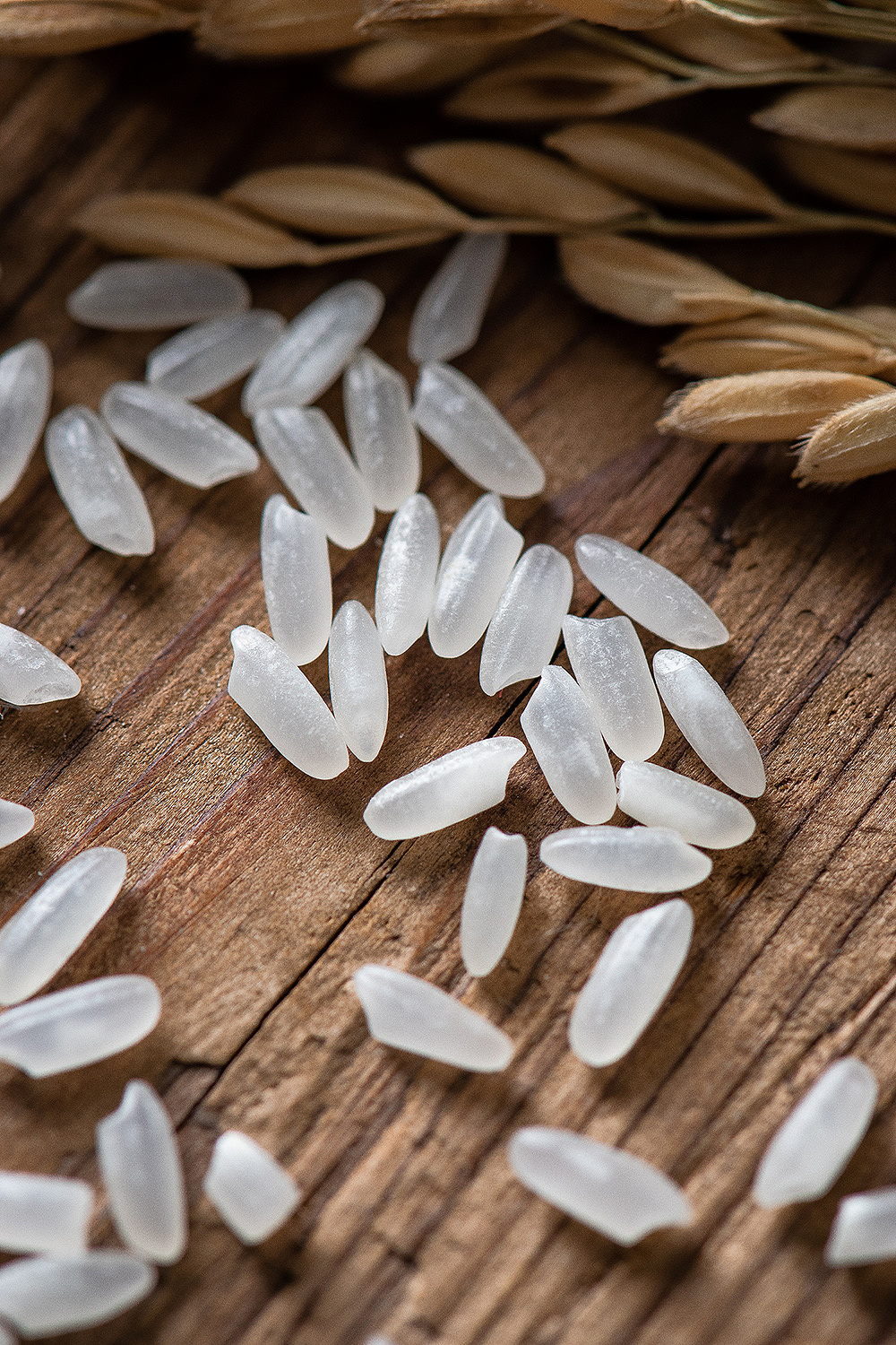 大米拍摄【沈阳美食静物产品摄影】