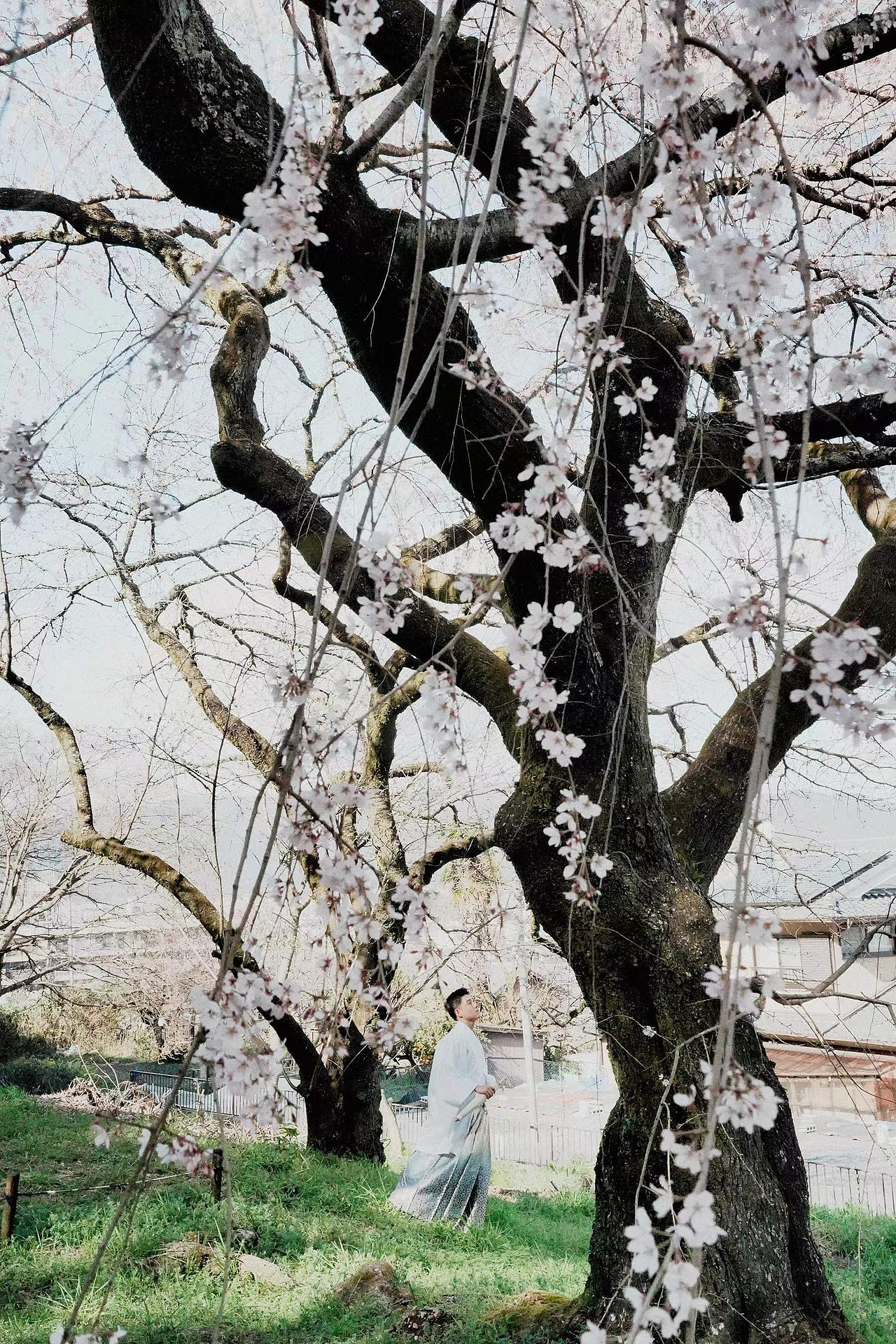 给帅哥准备了两个道具剑和伞演绎一个矜贵的公子