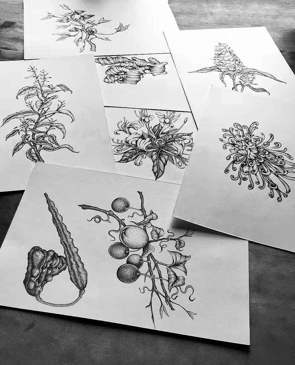 王老吉包装插画设计（图ZMjcyMzg4MzMy） - 商业插画 - 站酷设计师张贇ILLUSTRATION原创素材 - 站酷ZCOOL