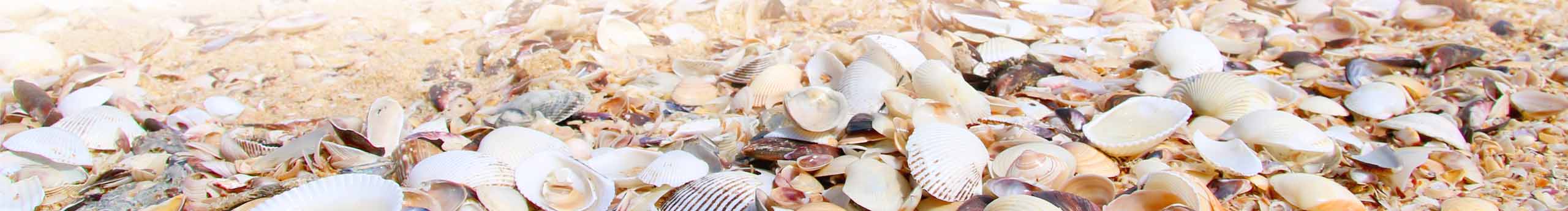 愛卜靈卜靈的閃光的個(gè)人主頁（封面預(yù)覽） - 主頁封面設(shè)置 - 站酷設(shè)計(jì)師愛卜靈卜靈的閃光原創(chuàng)素材 - 站酷ZCOOL