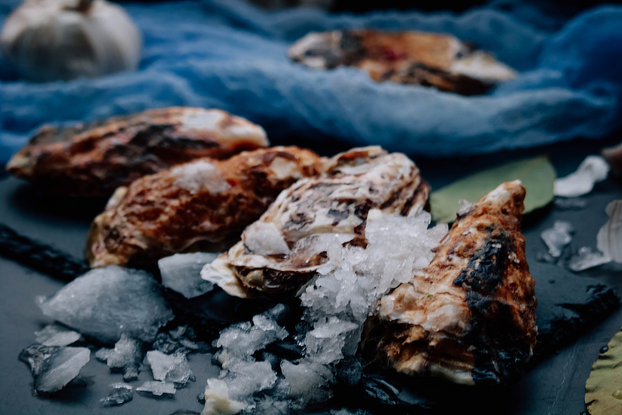 生蚝 海蛎子肉（图ZMjg0NDk0MjYw） - 产品摄影 - 站酷设计师独木桥的午后阳光原创素材 - 站酷ZCOOL