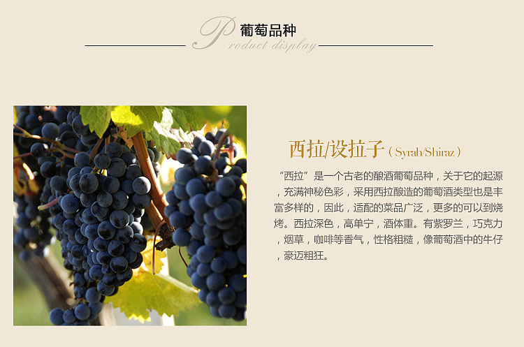 格瑞菲斯角西拉干红 详情页