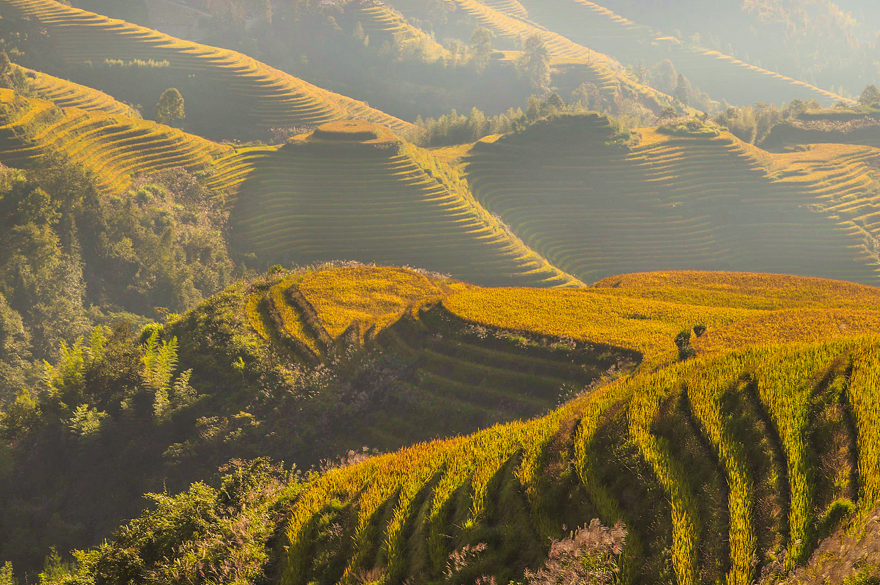 龙胜梯田（图ZMTMxNjIyNzg0） - 风光摄影 - 站酷设计师realZT原创素材 - 站酷ZCOOL