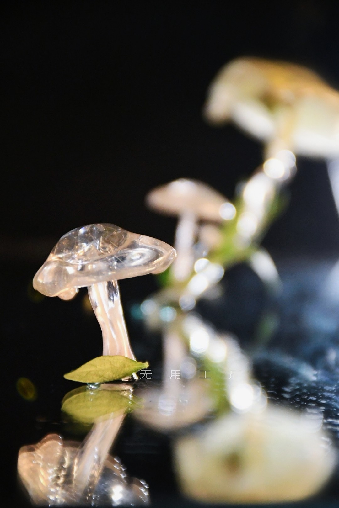 你要来一朵蘑菇么？