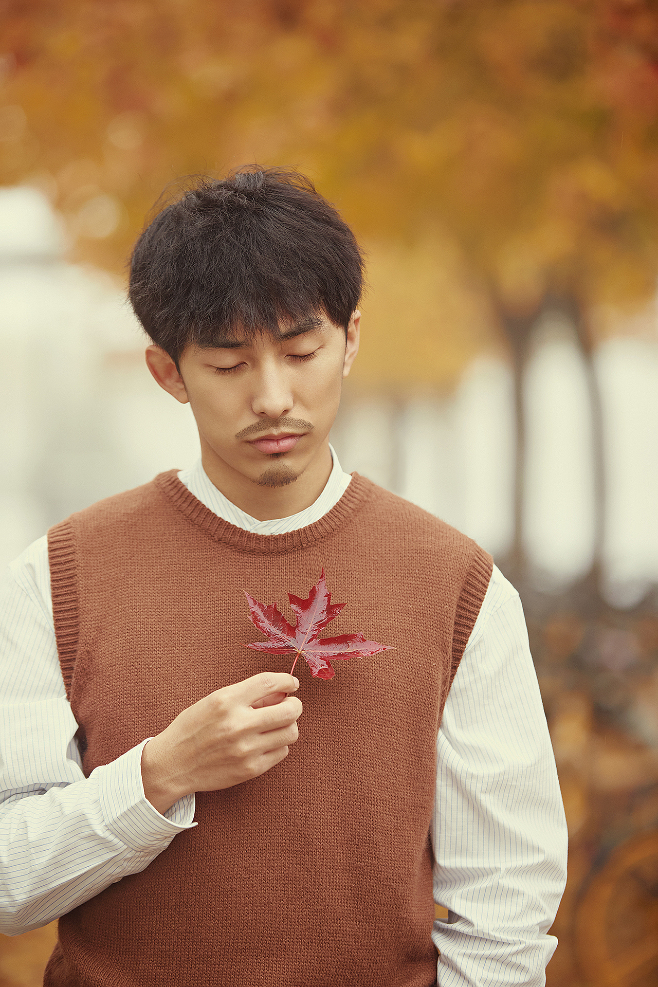 第一片雪花到来之前