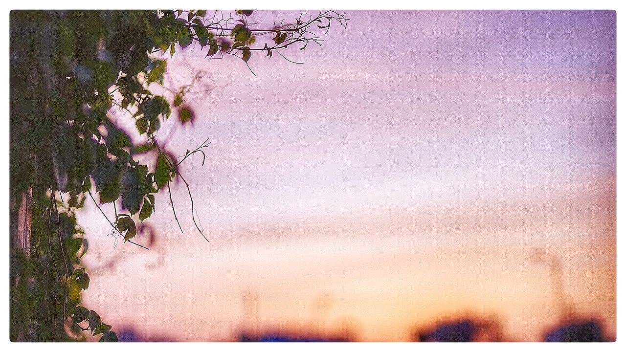 是那种差劲啊当从机111111111111（图ZMTg1MDIyMDA0） - 品牌 - 站酷设计师瓦瓦爪原创素材 - 站酷ZCOOL