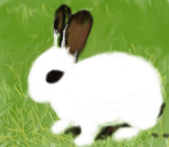 先打底色，绘出基础外轮廓