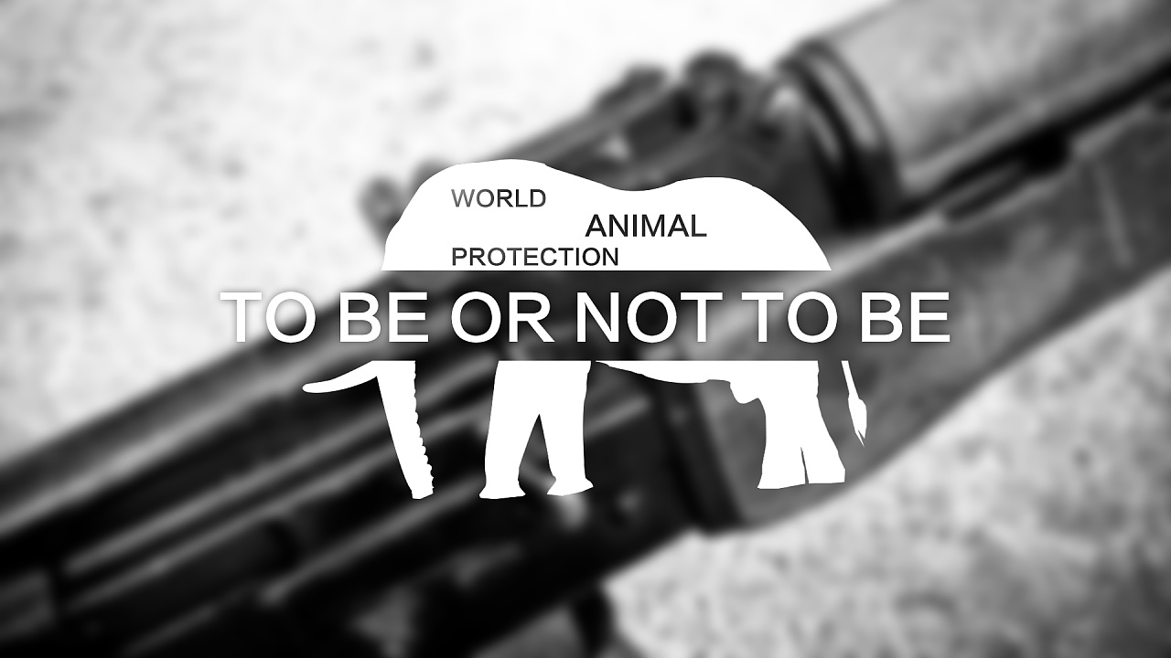 世界动物保护协会(一)