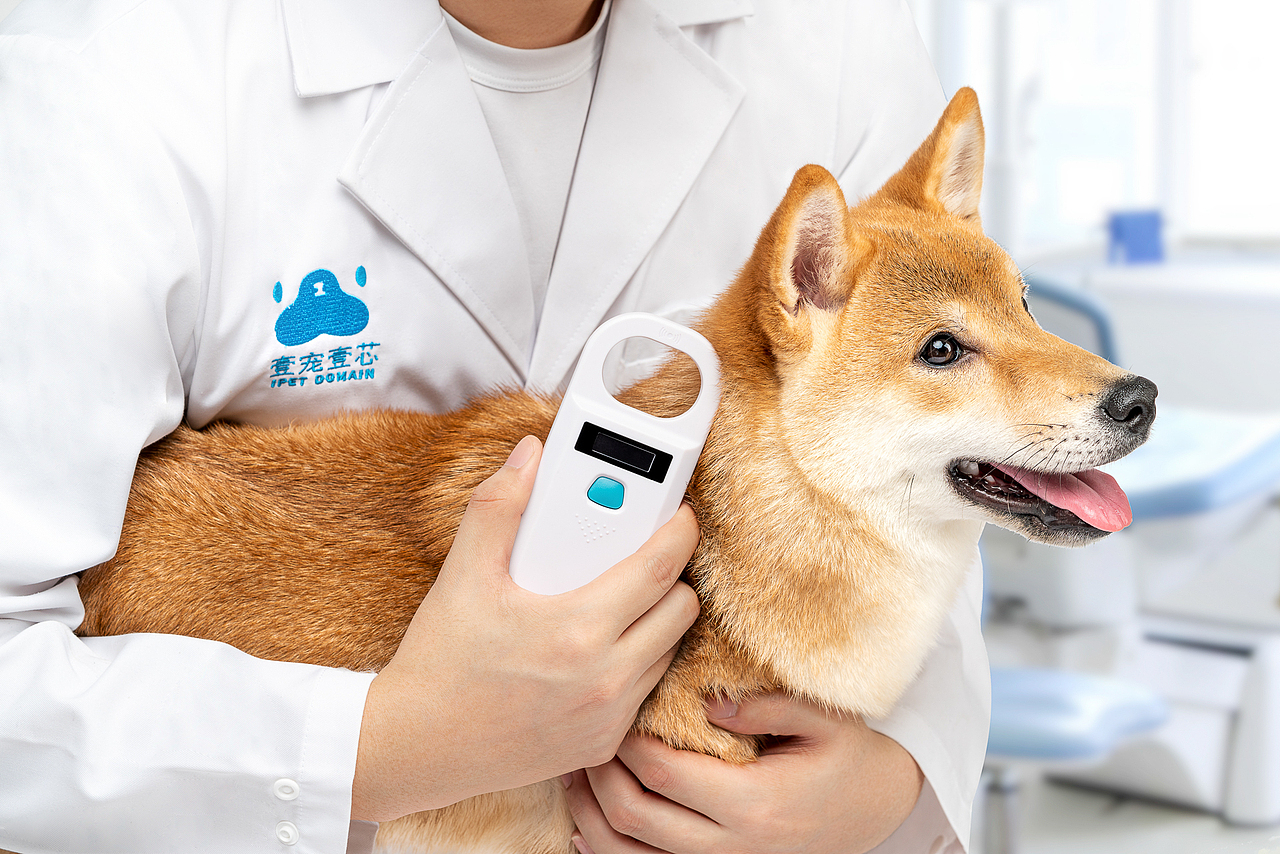 壹宠壹芯|宠物芯片拍摄