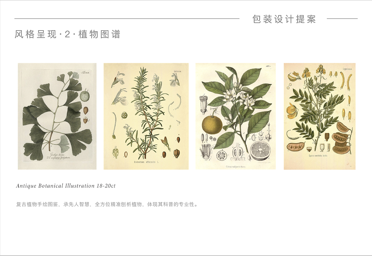 阿芙纯露系列升级｜护肤品｜化妆品｜包装设计｜品牌（图ZMjgzNDgxMTg4） - 包装 - 站酷设计师穆安宁原创素材 - 站酷ZCOOL