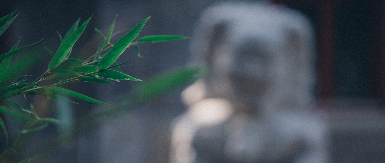 风摇翠竹（图ZMTE3MDc1MDky） - 风光摄影 - 站酷设计师甄星星原创素材 - 站酷ZCOOL