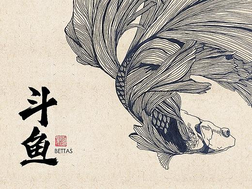 斗鱼插画