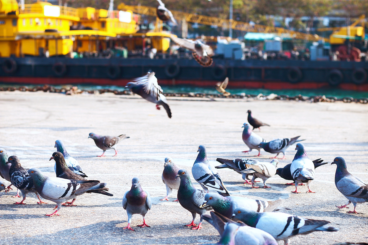 走在香港街头——海