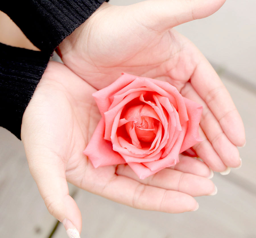 玫瑰花穿过手掌的图片图片