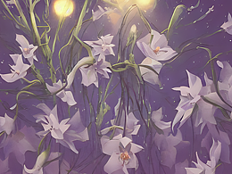 #站酷梦笔#白色，花朵 ，昙花，夜晚，光照，梦幻