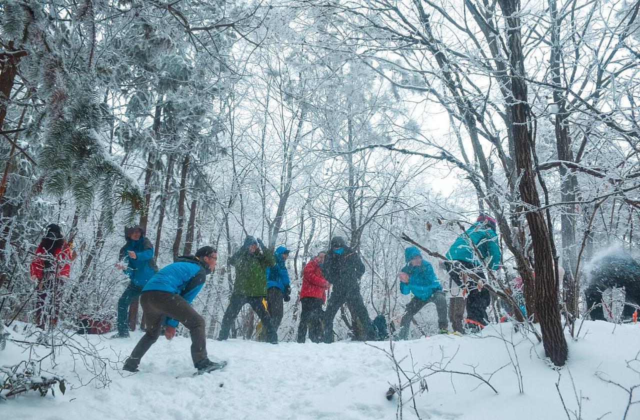 让我在雪地里再撒会儿野