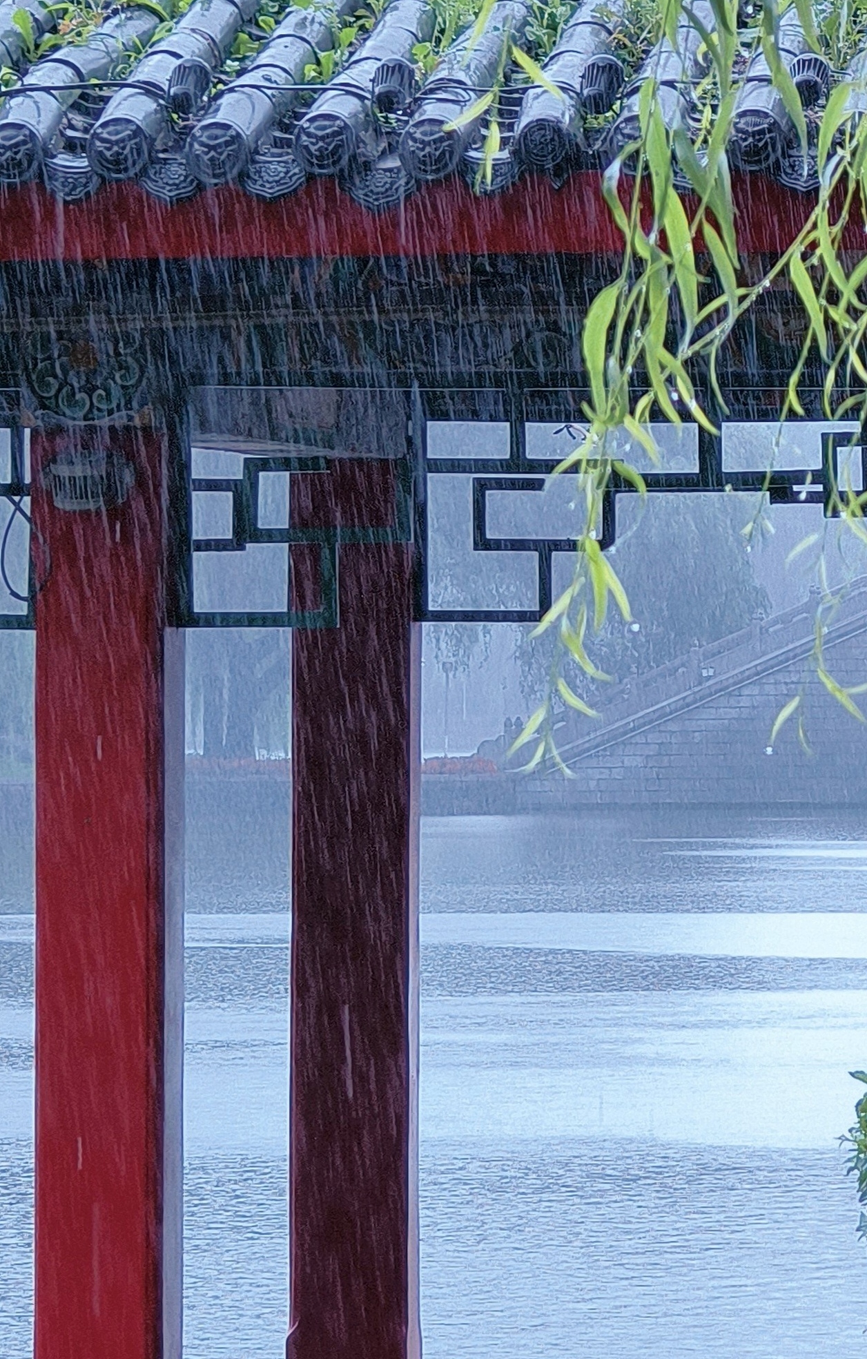 雨滴、雨丝,我拍出来啦