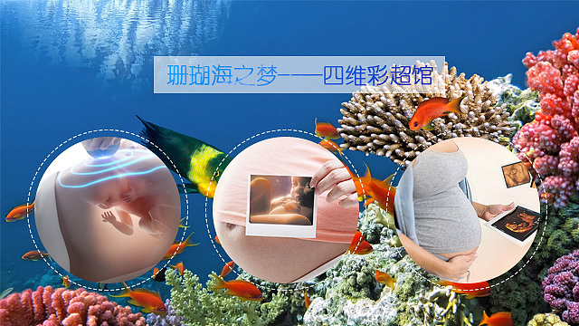 海豚音乐会（图ZODI2NTIwMTY=） - 运营设计 - 站酷设计师念以辰原创素材 - 站酷ZCOOL