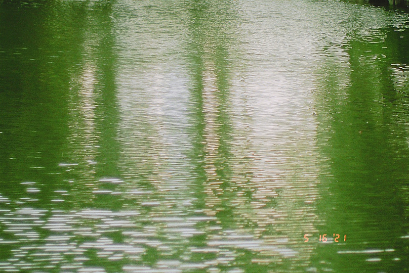 浪费的是，今天的风和我都漫无目的。