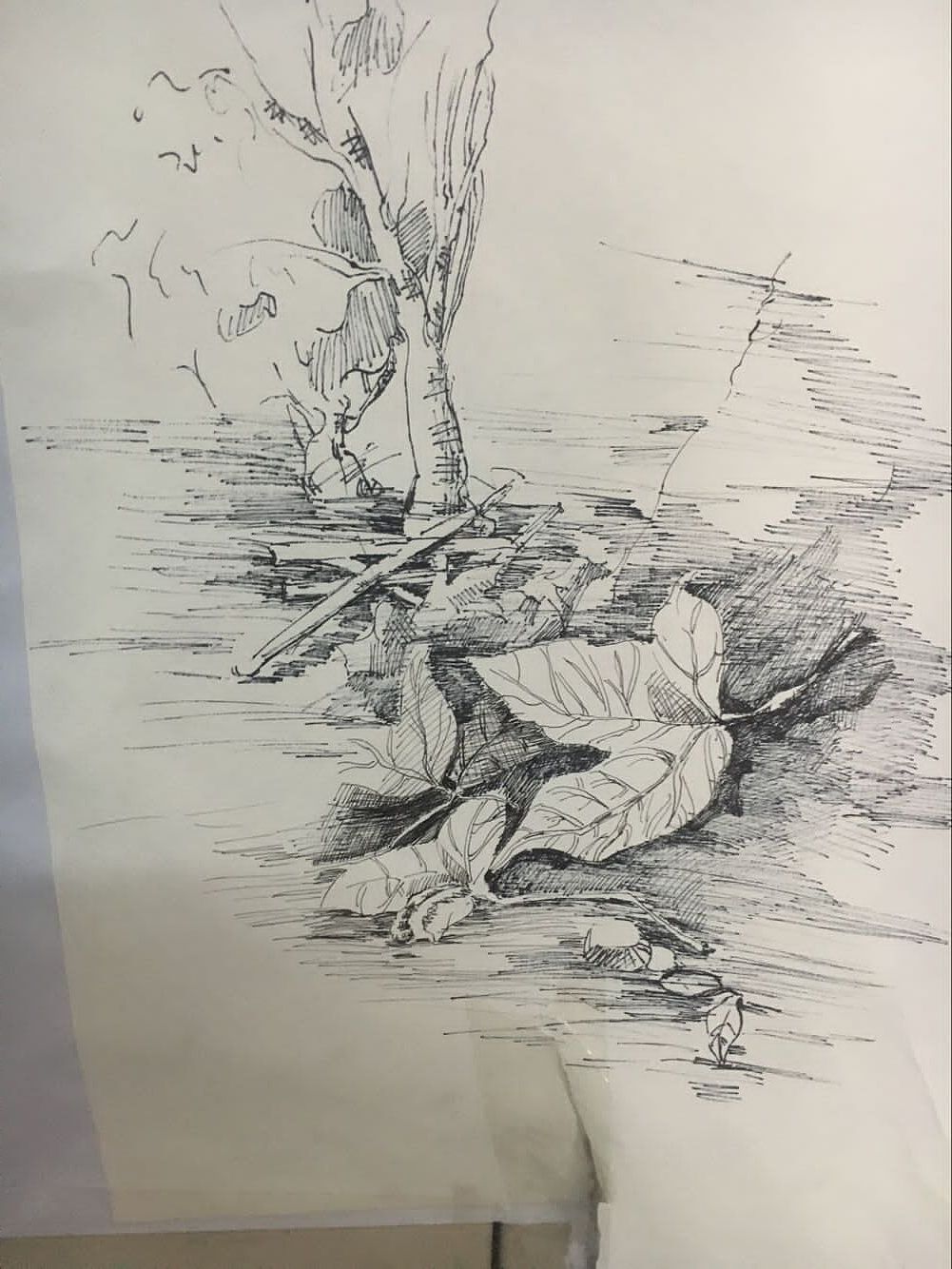 手绘（图ZNjQ4NjcxMjA=） - 绘画 - 站酷设计师潘戴金原创素材 - 站酷ZCOOL