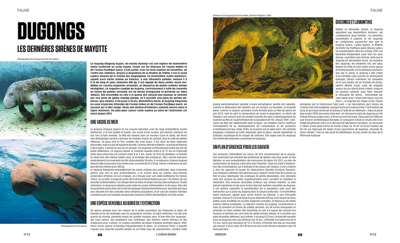 杂志 排版 书籍 旅游（图ZMTAwNTIwMzk2） - 书籍/画册 - 站酷设计师泽人工作室原创素材 - 站酷ZCOOL