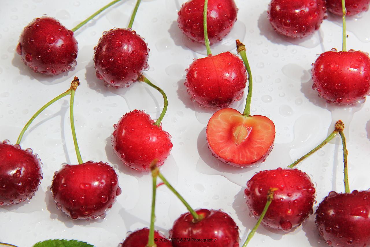 《 樱桃の夏 》