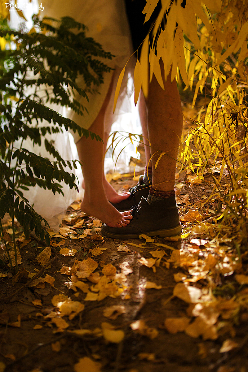 卜马婚纱旅拍—敦煌