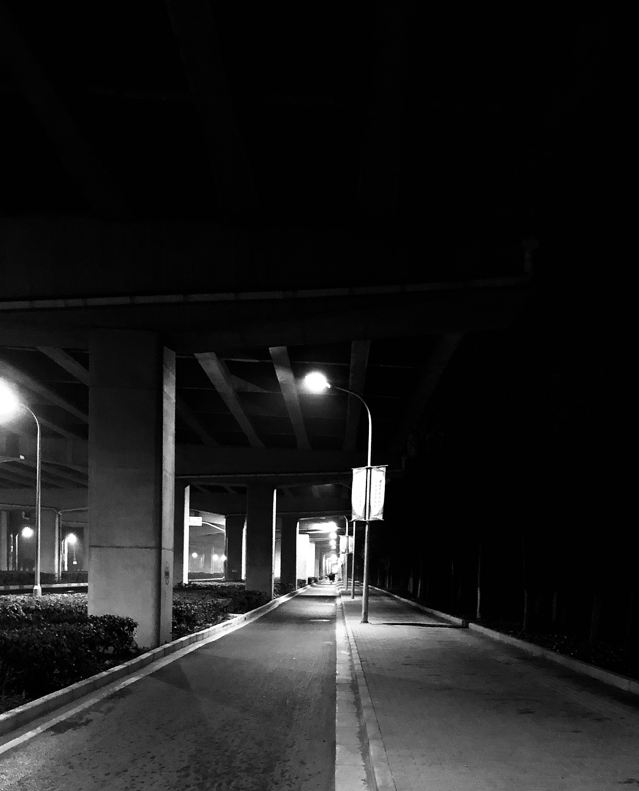 这个,无法言喻的比海还深的孤独,将故事藏在路灯里,努力照亮心里的路!