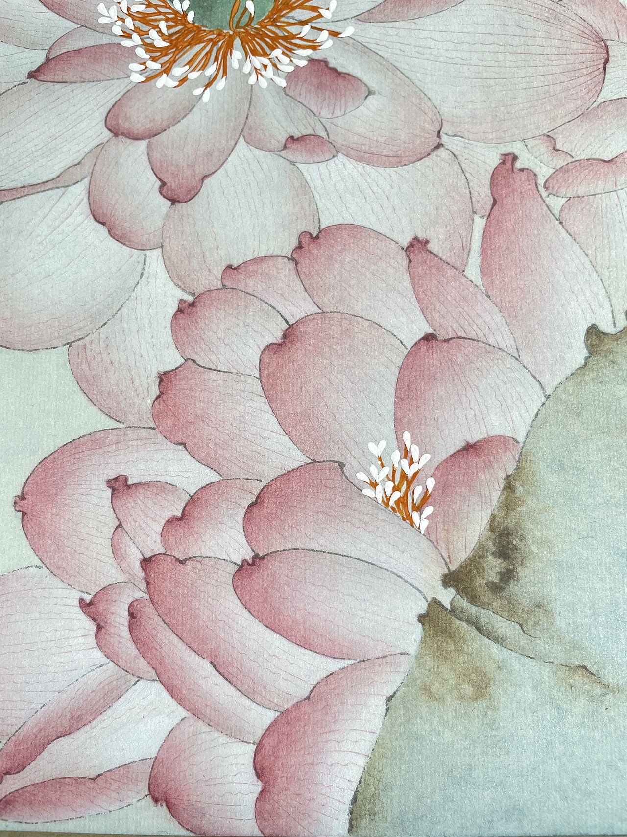 《你若盛开·蝴蝶自来》