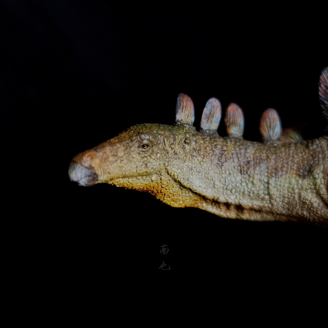 涂装作品丨tonymcvey高脊龙阿班剑龙