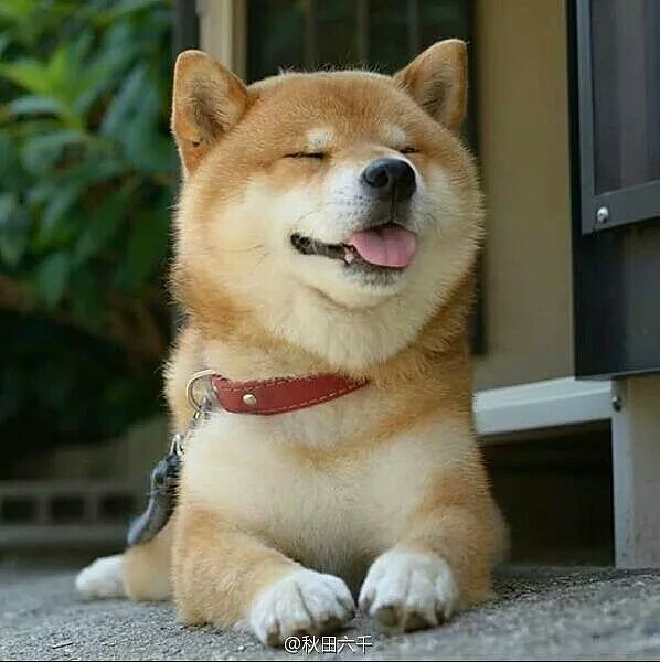 萌萌哒/撩舌头