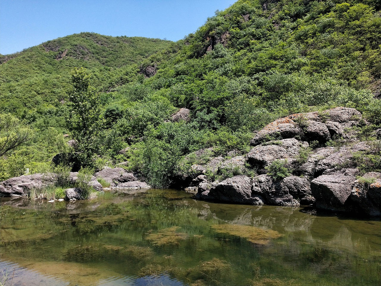 翠鸟谷一日丛林穿越
