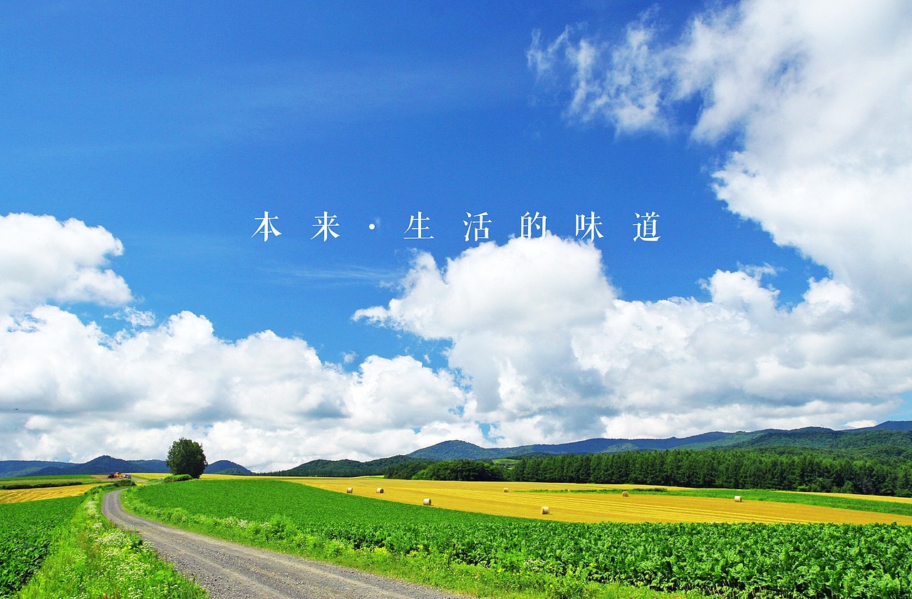 一本绿色食品的电子画册，不足之处欢迎指教。（图ZMjc0NjcyMjQ=） - 书籍/画册 - 站酷设计师wangtong20原创素材 - 站酷ZCOOL