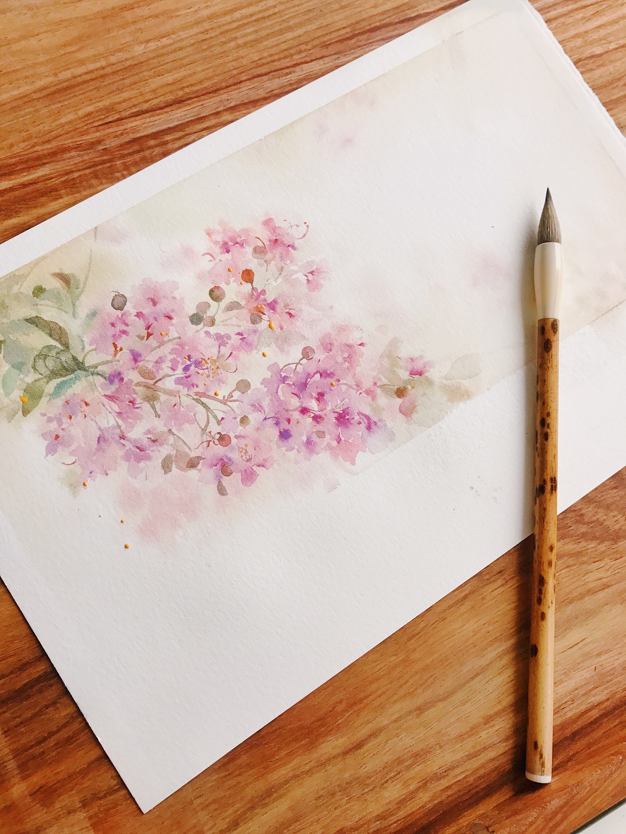 紫薇花|插画|艺术插画|浮晓壹白 - 原创作品 - 站酷 (zcool)