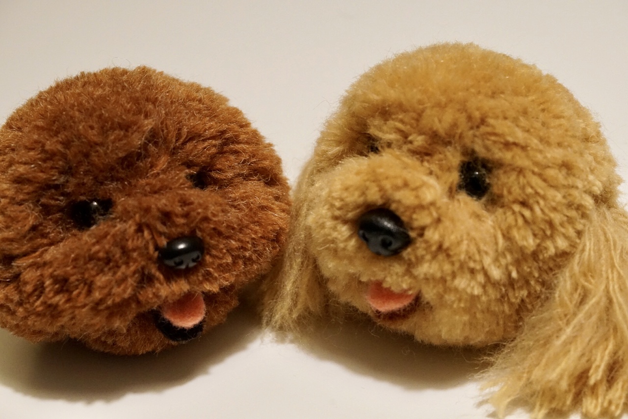 羊毛毡泰迪狗狗