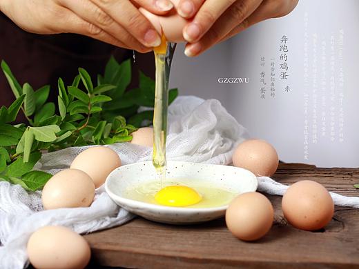 奔跑的鸡蛋