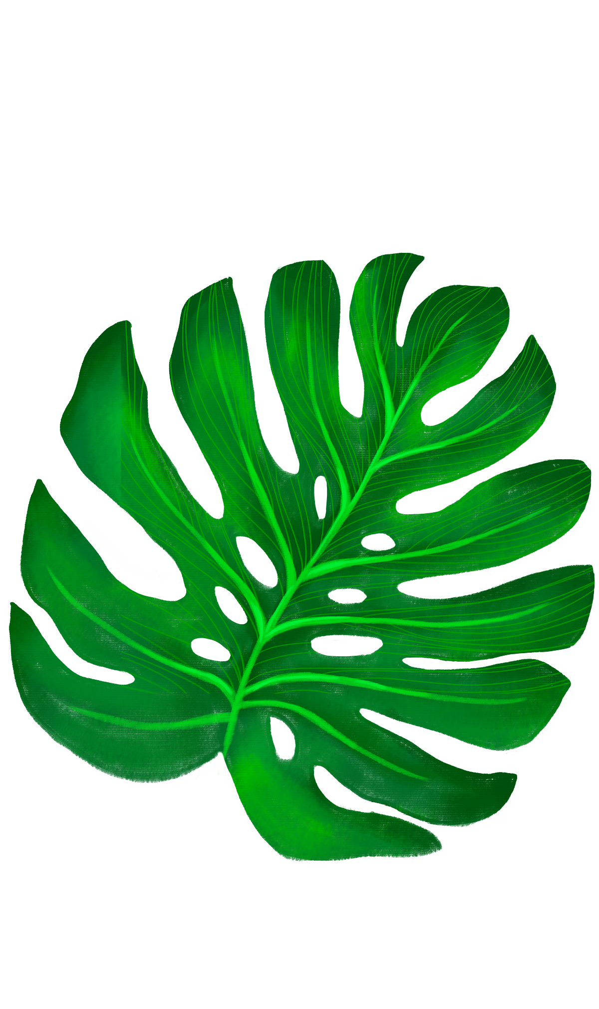 PNG作品 植物 绿叶 盆栽 花卉 芭蕉叶 芦荟 装饰元素（图ZMTc5MzI1ODEy） - 其他 - 站酷设计师青柠味原创素材 - 站酷ZCOOL