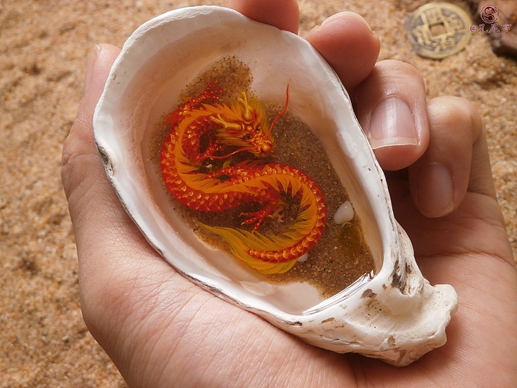 蚝壳寄生龙