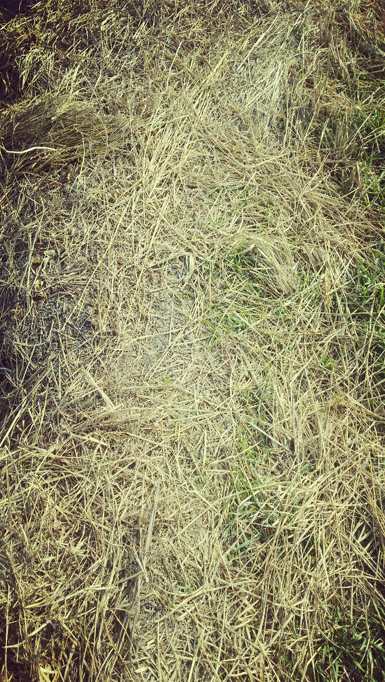 冬日·静谧（图ZMzY2ODYwOTY=） - 其他摄影 - 站酷设计师IssueBeam原创素材 - 站酷ZCOOL