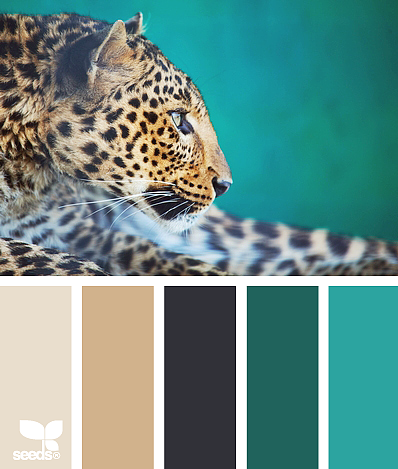 美丽的配色卡啊——04