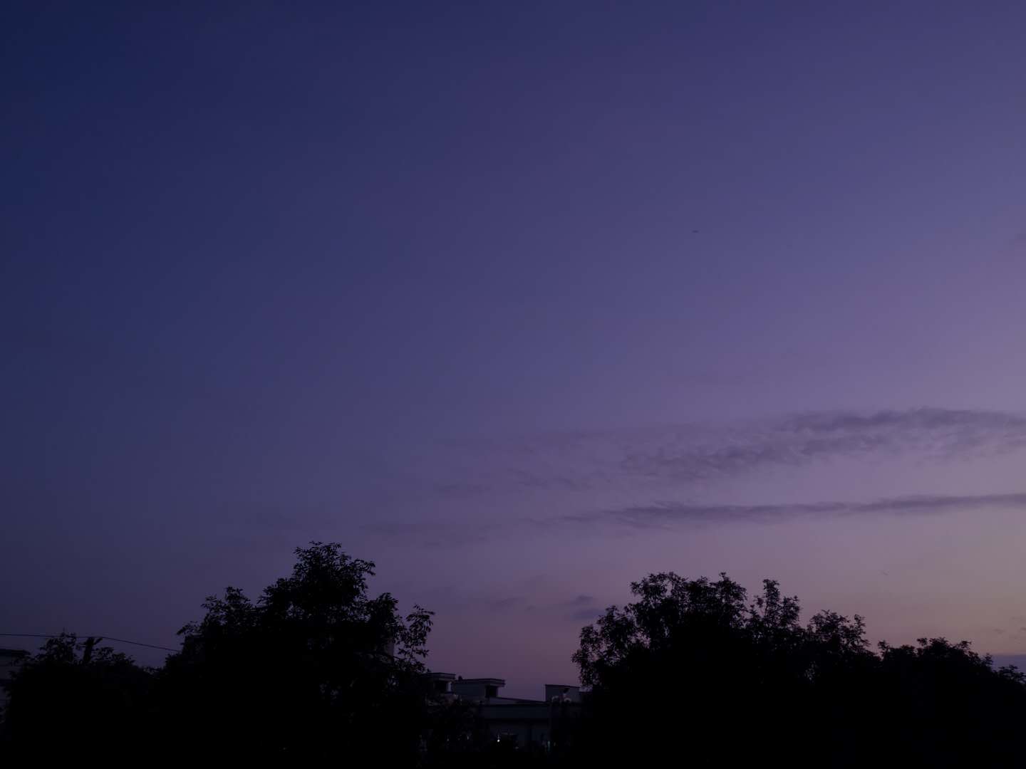 這是小魚魚吖的個人主頁（背景預(yù)覽） - 主頁背景設(shè)置 - 站酷設(shè)計師這是小魚魚吖原創(chuàng)素材 - 站酷ZCOOL